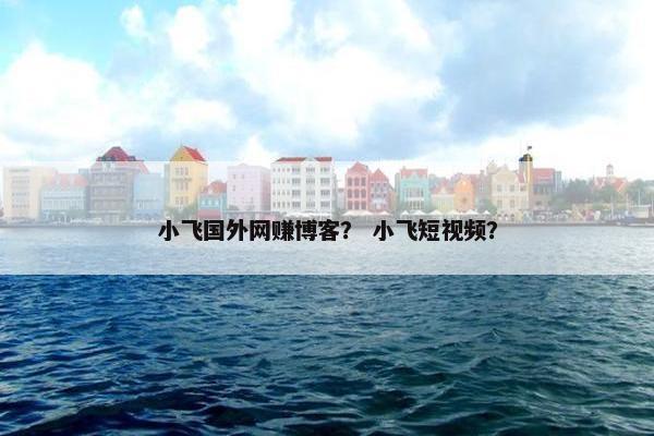 小飞国外网赚博客？ 小飞短视频？