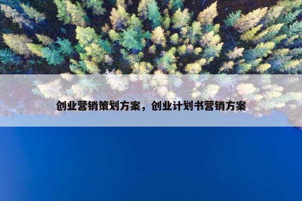 创业营销策划方案，创业计划书营销方案