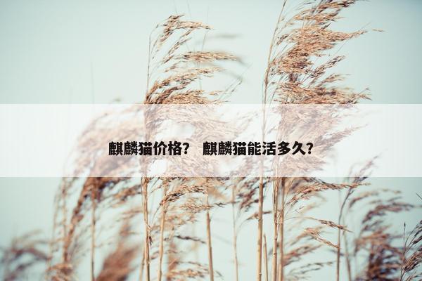 麒麟猫价格？ 麒麟猫能活多久？