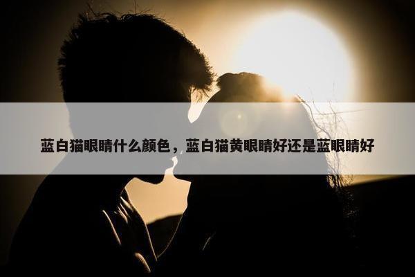 蓝白猫眼睛什么颜色，蓝白猫黄眼睛好还是蓝眼睛好