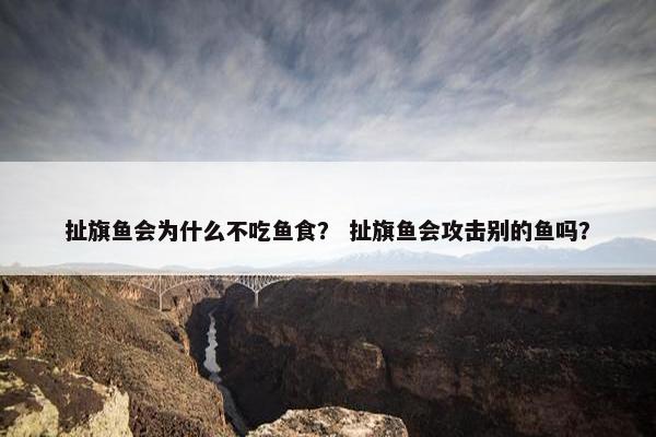 扯旗鱼会为什么不吃鱼食？ 扯旗鱼会攻击别的鱼吗？