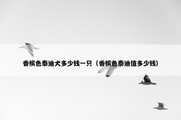 香槟色泰迪犬多少钱一只（香槟色泰迪值多少钱）