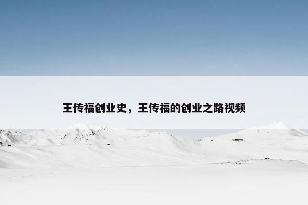 王传福创业史，王传福的创业之路视频