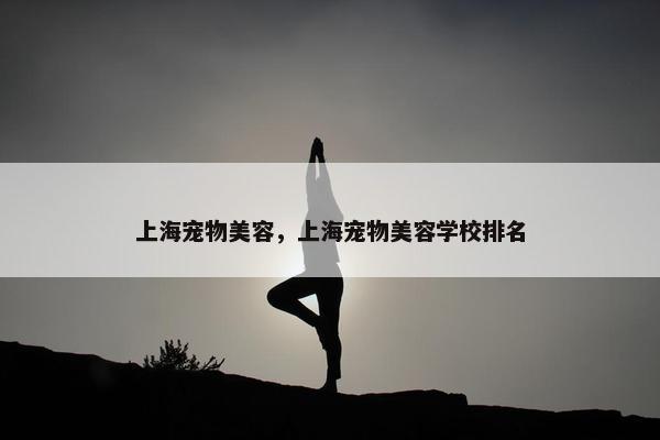 上海宠物美容，上海宠物美容学校排名