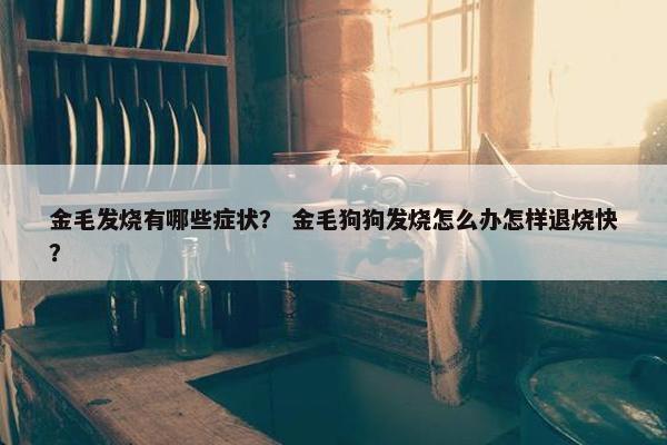 金毛发烧有哪些症状？ 金毛狗狗发烧怎么办怎样退烧快？