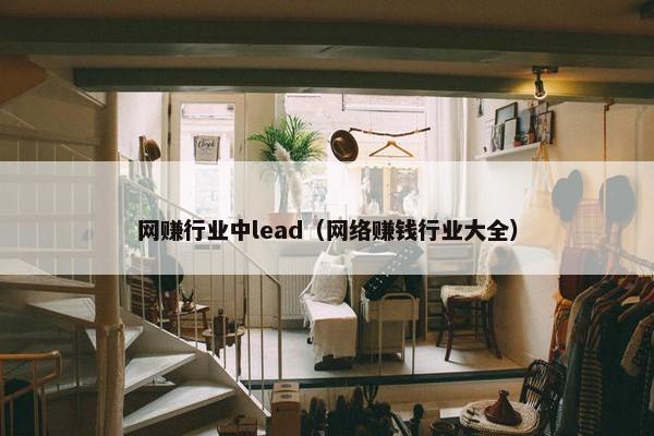 网赚行业中lead（网络赚钱行业大全）