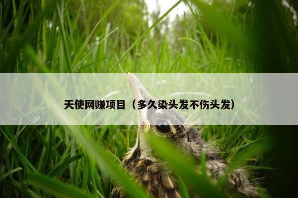 天使网赚项目（多久染头发不伤头发）