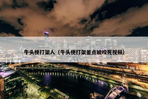 牛头梗打架人（牛头梗打架差点被咬死视频）