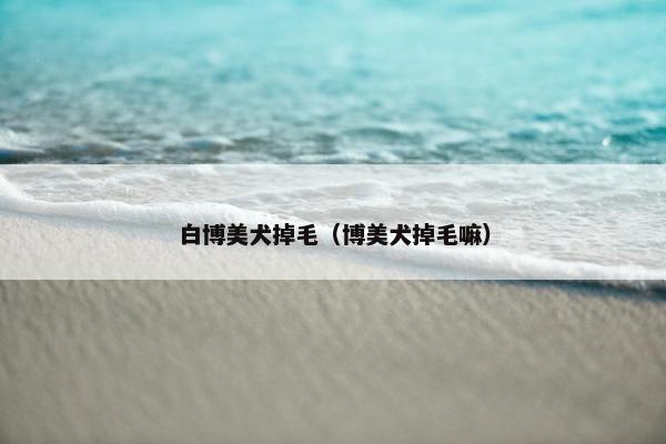 白博美犬掉毛（博美犬掉毛嘛）