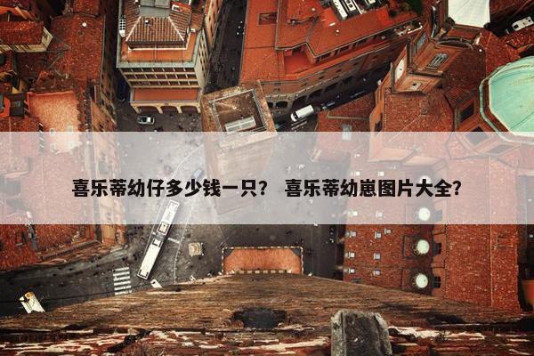 喜乐蒂幼仔多少钱一只？ 喜乐蒂幼崽图片大全？