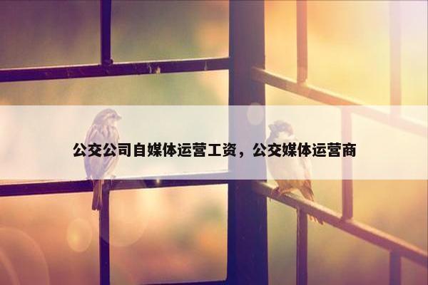 公交公司自媒体运营工资，公交媒体运营商