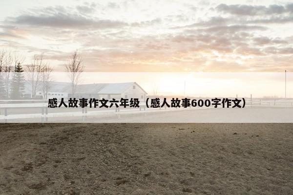 感人故事作文六年级（感人故事600字作文）