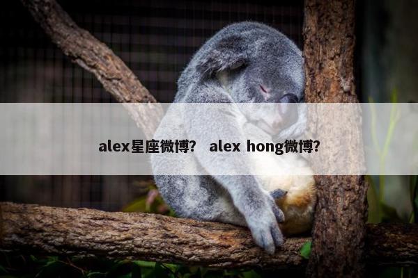 alex星座微博？ alex hong微博？
