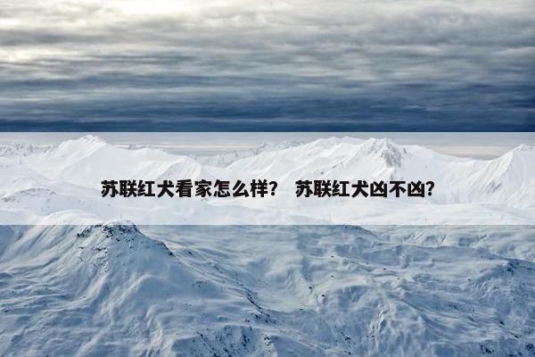 苏联红犬看家怎么样？ 苏联红犬凶不凶？