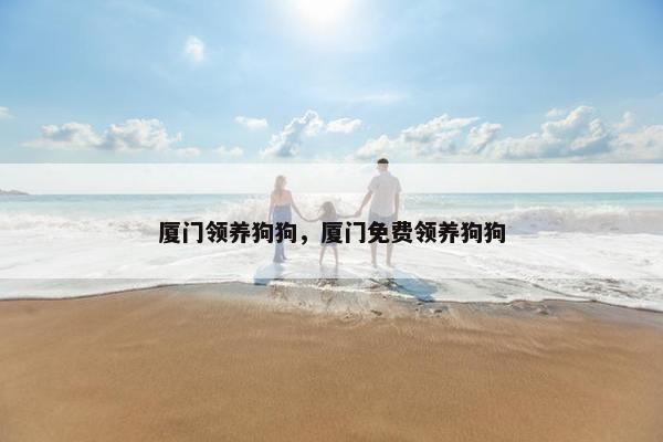 厦门领养狗狗，厦门免费领养狗狗