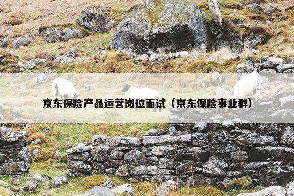 京东保险产品运营岗位面试（京东保险事业群）