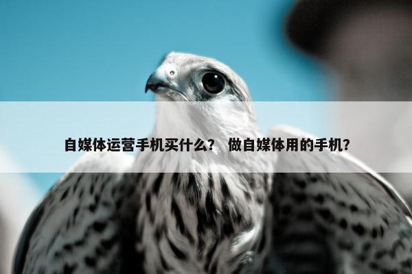 自媒体运营手机买什么？ 做自媒体用的手机？