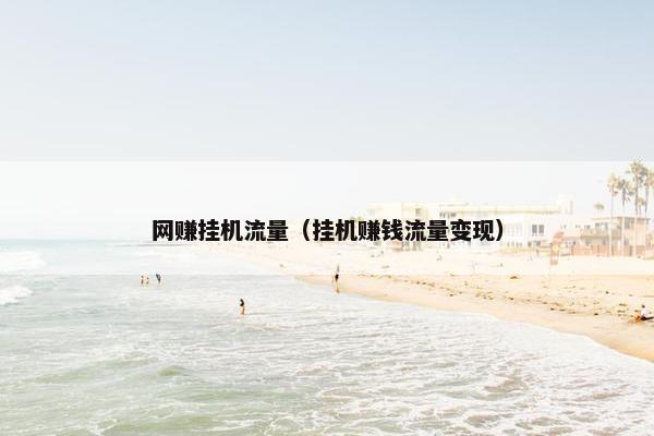 网赚挂机流量（挂机赚钱流量变现）