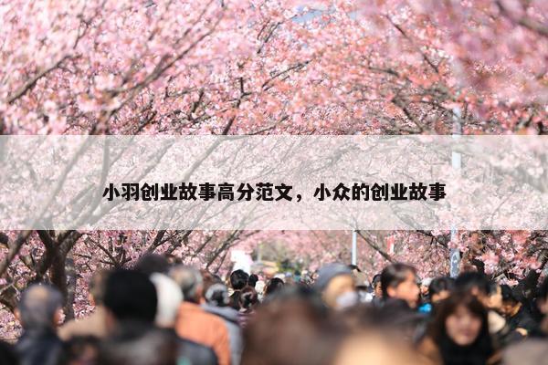 小羽创业故事高分范文，小众的创业故事