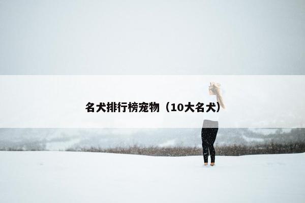 名犬排行榜宠物（10大名犬）