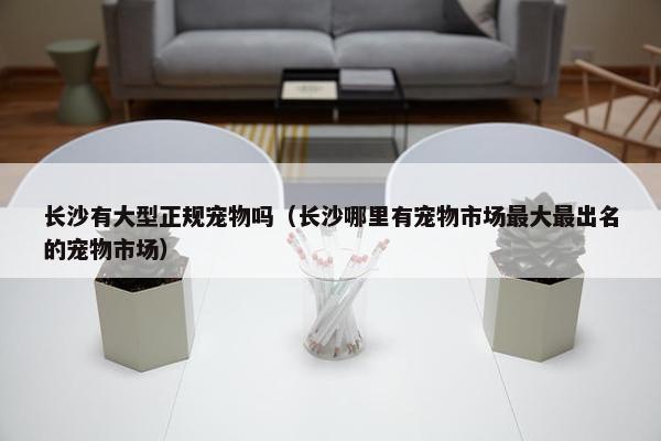 长沙有大型正规宠物吗（长沙哪里有宠物市场最大最出名的宠物市场）