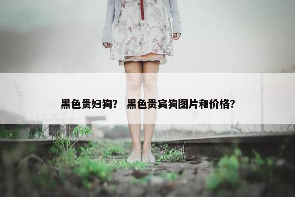 黑色贵妇狗？ 黑色贵宾狗图片和价格？