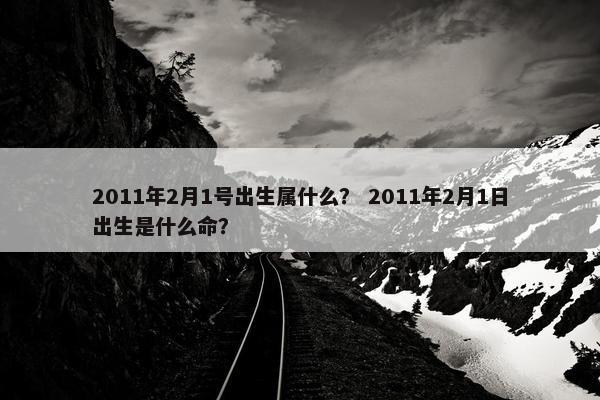 2011年2月1号出生属什么？ 2011年2月1日出生是什么命？