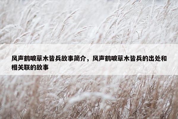 风声鹤唳草木皆兵故事简介，风声鹤唳草木皆兵的出处和相关联的故事