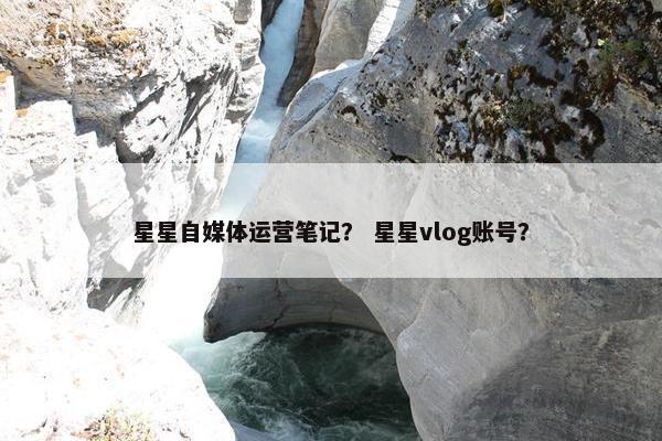 星星自媒体运营笔记？ 星星vlog账号？