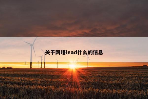 关于网赚lead什么的信息