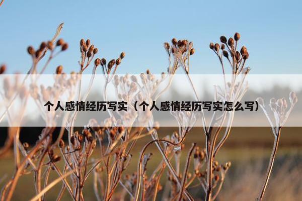 个人感情经历写实（个人感情经历写实怎么写）