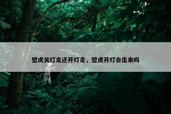 壁虎关灯走还开灯走，壁虎开灯会出来吗
