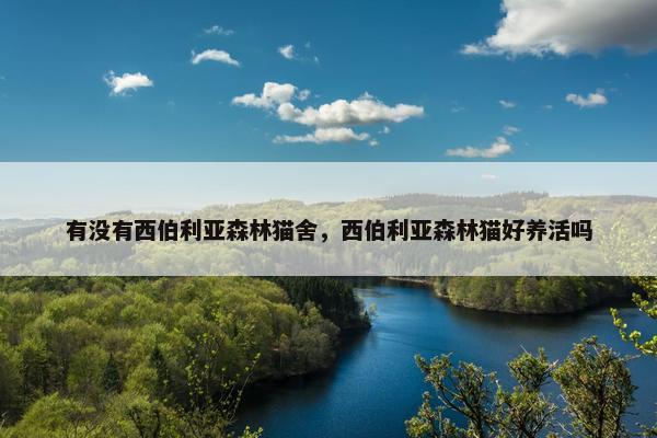 有没有西伯利亚森林猫舍，西伯利亚森林猫好养活吗