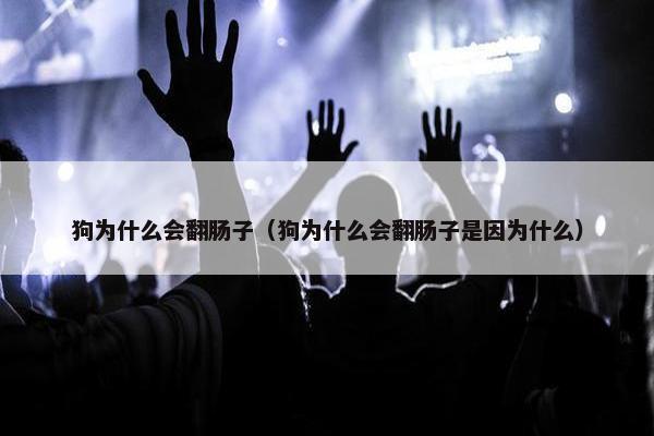 狗为什么会翻肠子（狗为什么会翻肠子是因为什么）