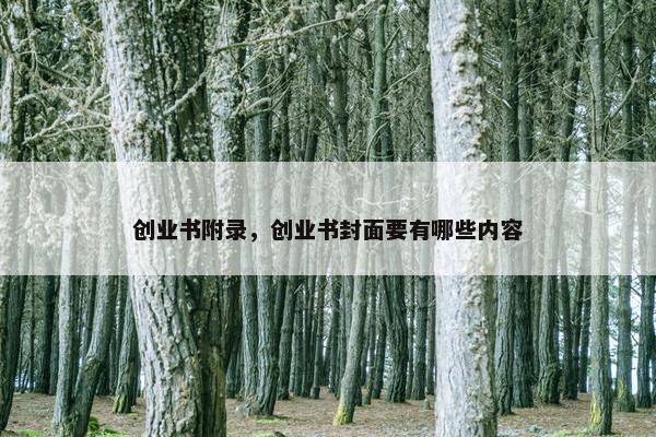 创业书附录，创业书封面要有哪些内容
