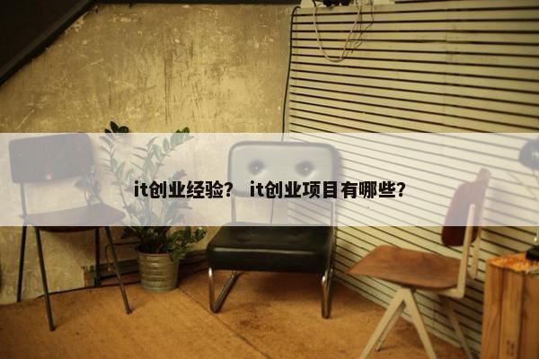 it创业经验？ it创业项目有哪些？