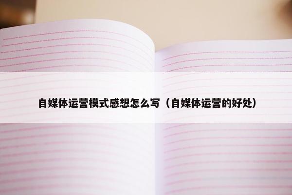 自媒体运营模式感想怎么写（自媒体运营的好处）