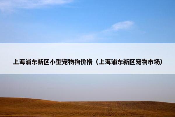 上海浦东新区小型宠物狗价格（上海浦东新区宠物市场）