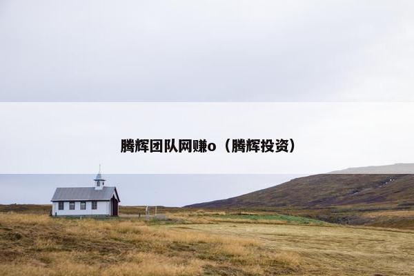 腾辉团队网赚o（腾辉投资）