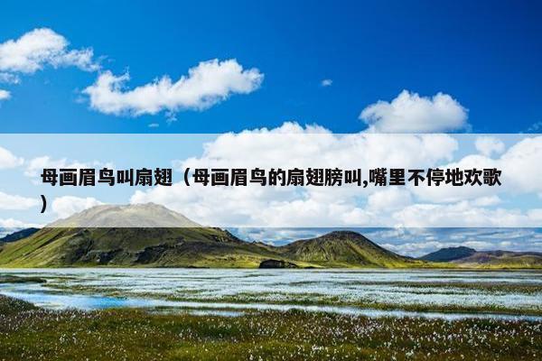 母画眉鸟叫扇翅（母画眉鸟的扇翅膀叫,嘴里不停地欢歌）