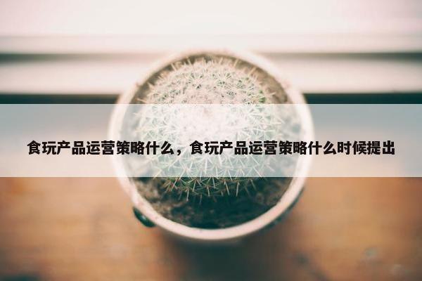 食玩产品运营策略什么，食玩产品运营策略什么时候提出