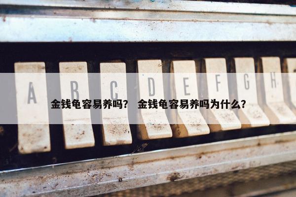 金钱龟容易养吗？ 金钱龟容易养吗为什么？