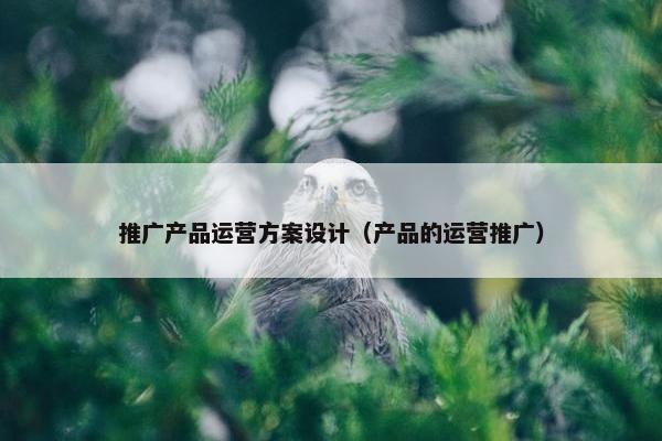 推广产品运营方案设计（产品的运营推广）