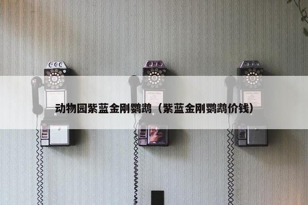 动物园紫蓝金刚鹦鹉（紫蓝金刚鹦鹉价钱）