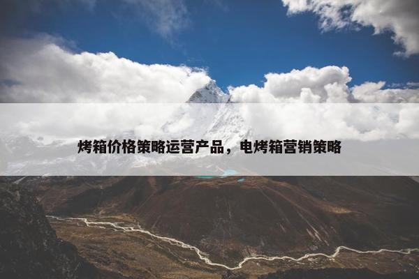 烤箱价格策略运营产品，电烤箱营销策略