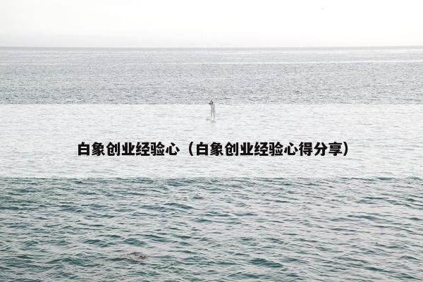 白象创业经验心（白象创业经验心得分享）