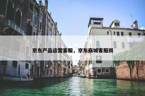 京东产品运营客服，京东商城客服岗