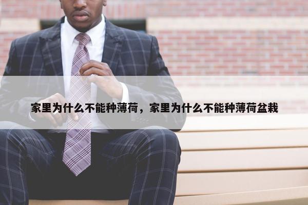 家里为什么不能种薄荷，家里为什么不能种薄荷盆栽
