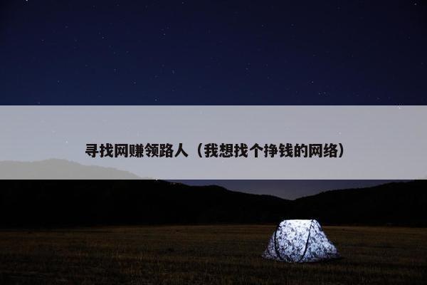 寻找网赚领路人（我想找个挣钱的网络）