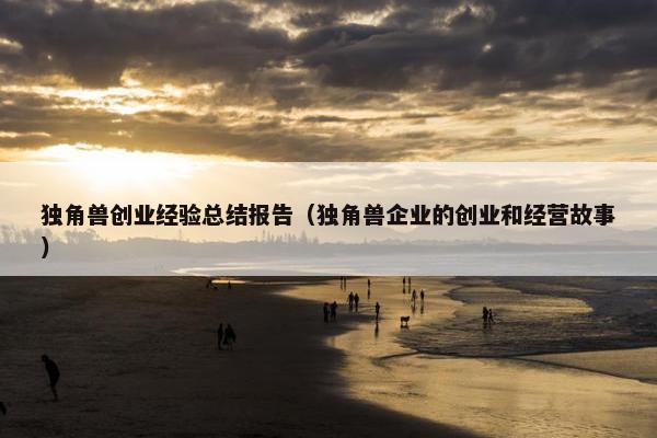 独角兽创业经验总结报告（独角兽企业的创业和经营故事）
